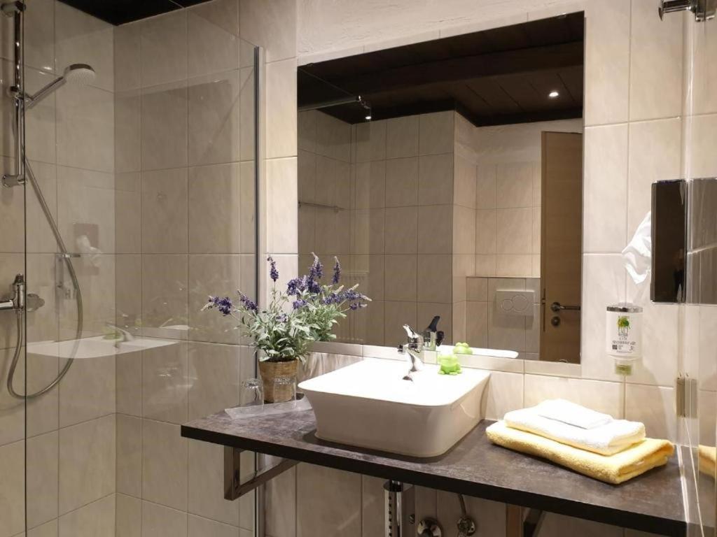 Contel Hotel Кобленц Екстериор снимка